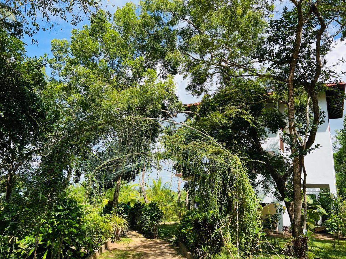 Ashansa Lagoon Resort Tangalle Buitenkant foto