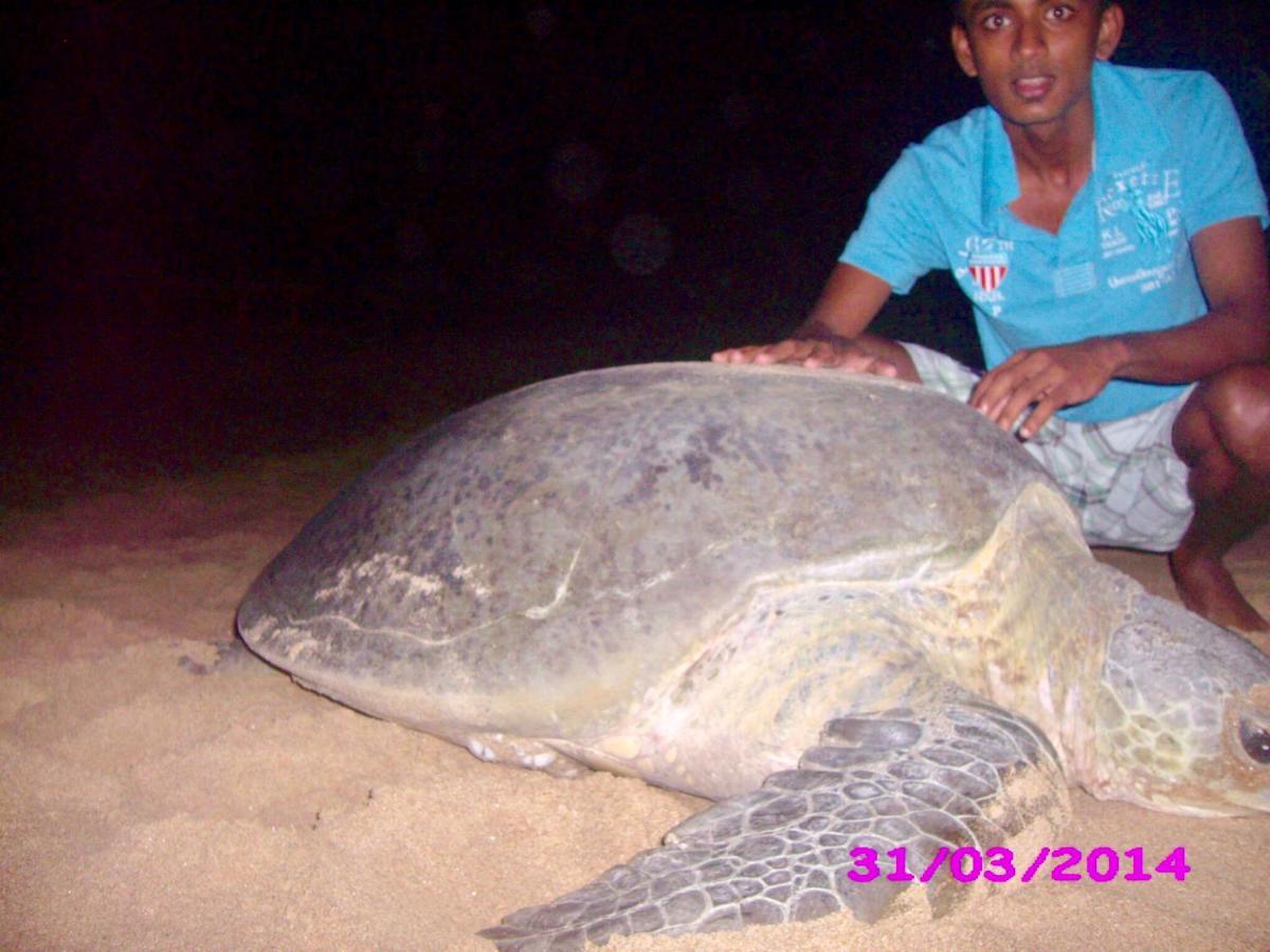 Ashansa Lagoon Resort Tangalle Buitenkant foto